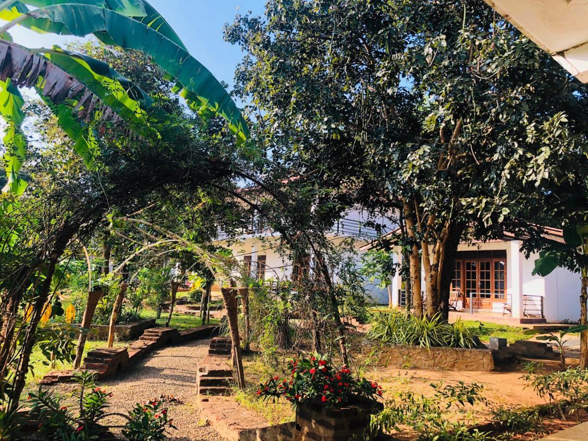 Into The Wild Sigiriya Hotel Exterior foto